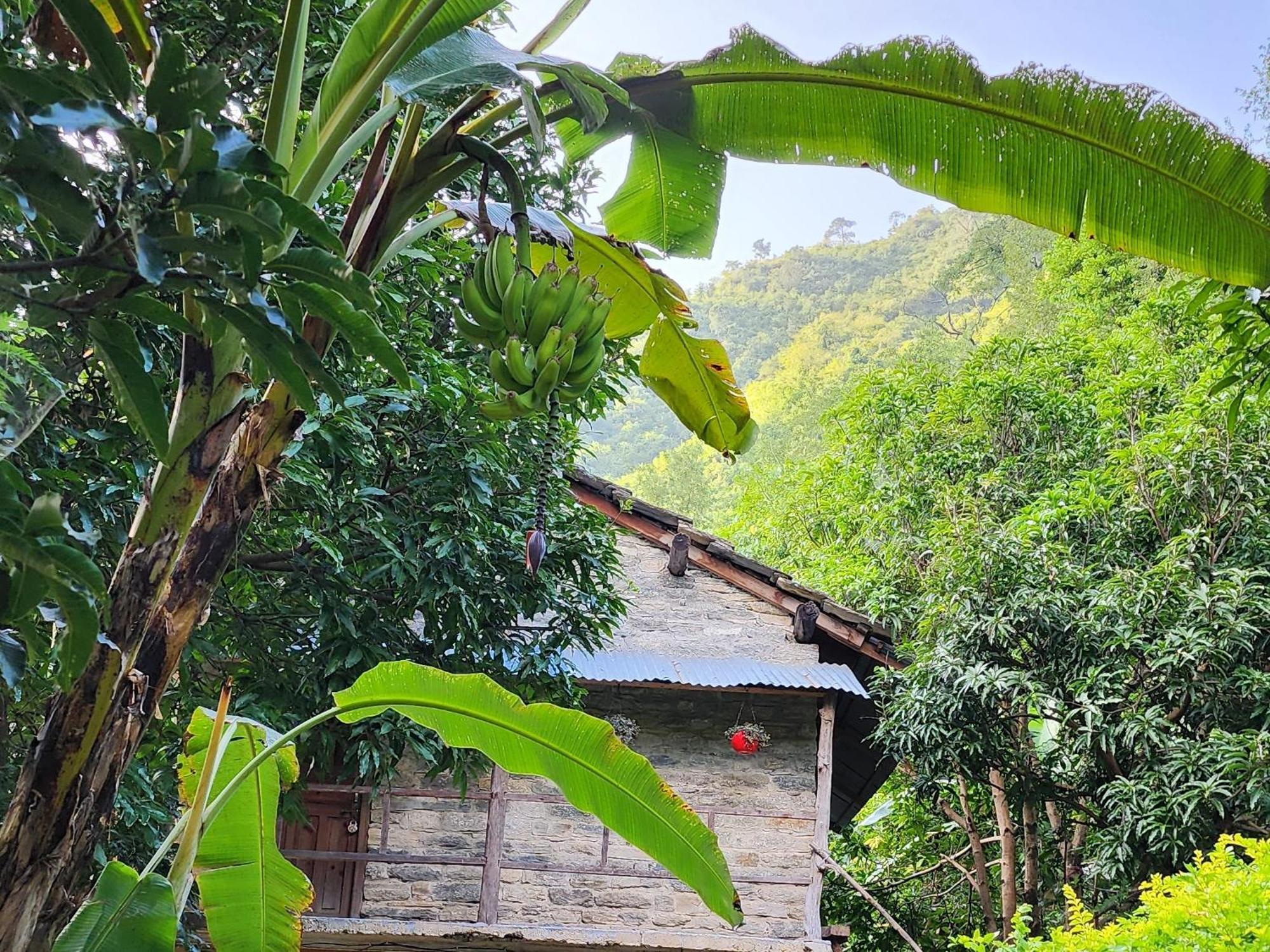Hobo Huts By The Riverside Panuānaula Exterior photo